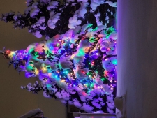 Multi-color Christmas Tree