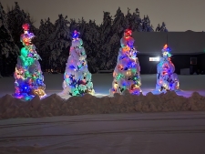 Multi-color Christmas Trees