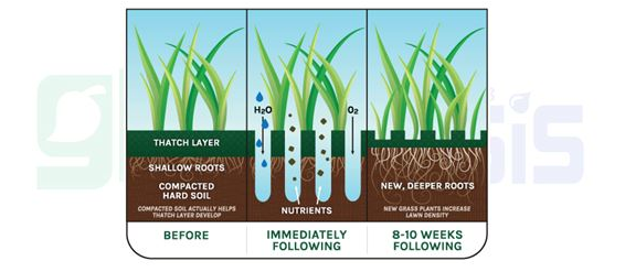 Diagram showing how adding nutrients help roots grow